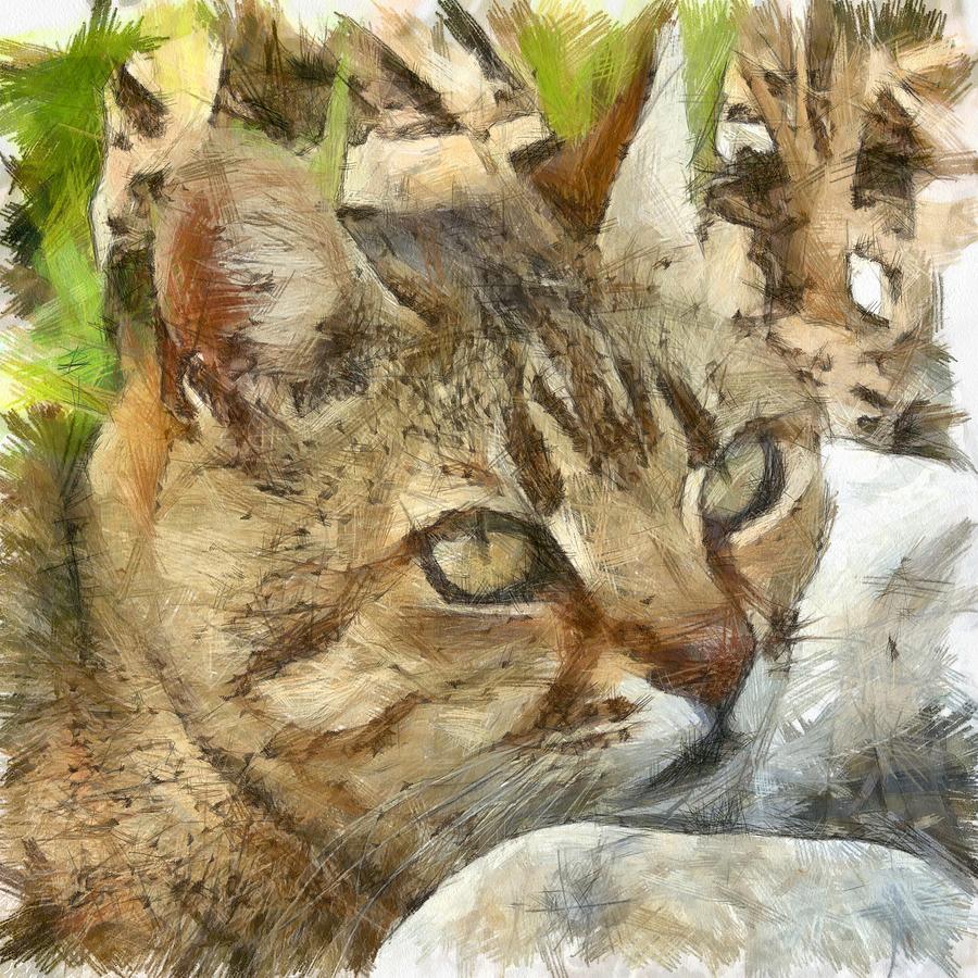 Animal Painting - Relaxed Tabby Cat Resting In Garden by Taiche Acrylic Art