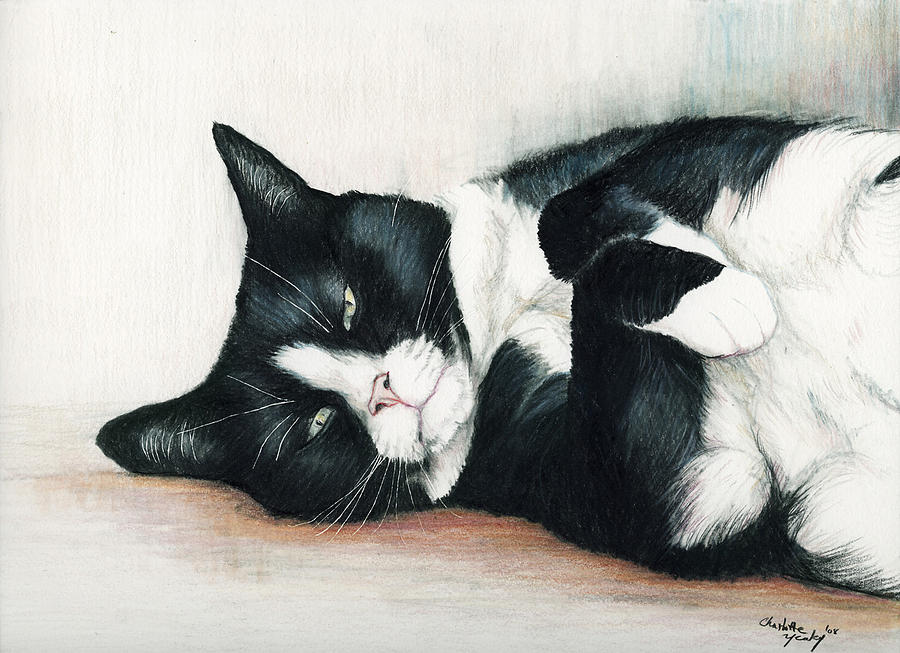 Relaxed Tuxedo Drawing by Charlotte Yealey