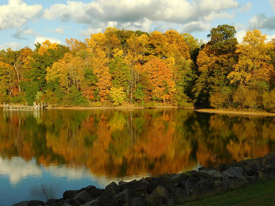 Relaxing at the lake Photograph by Dawn Denner - Fine Art America