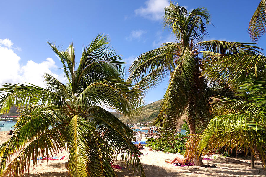 Relaxing on the beach. Pinel Island Saint Martin Caribbean Photograph by Toby McGuire