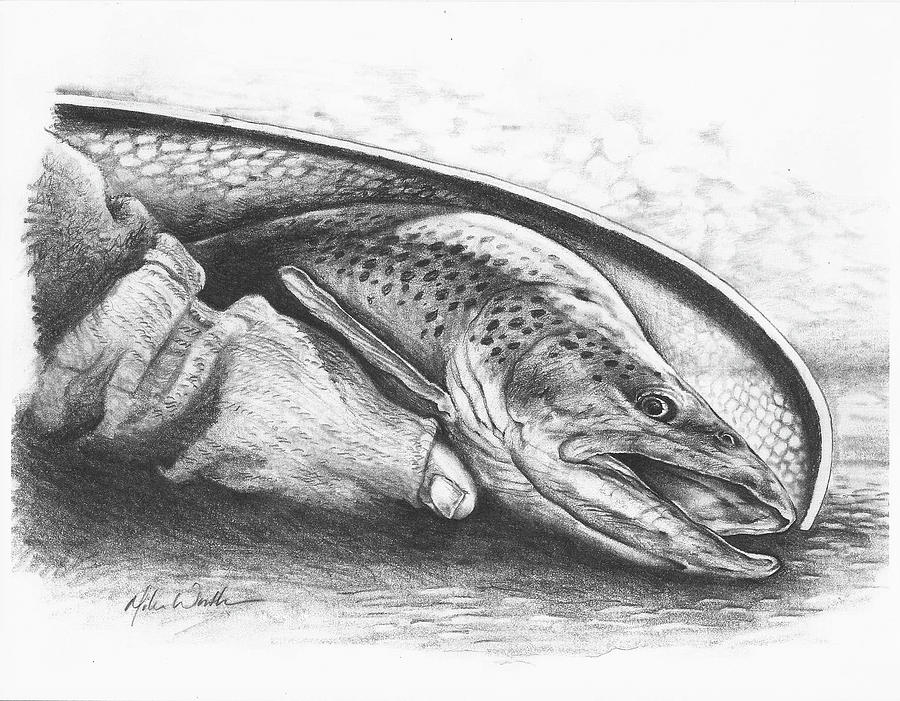 Release Drawing by Mike Worthen