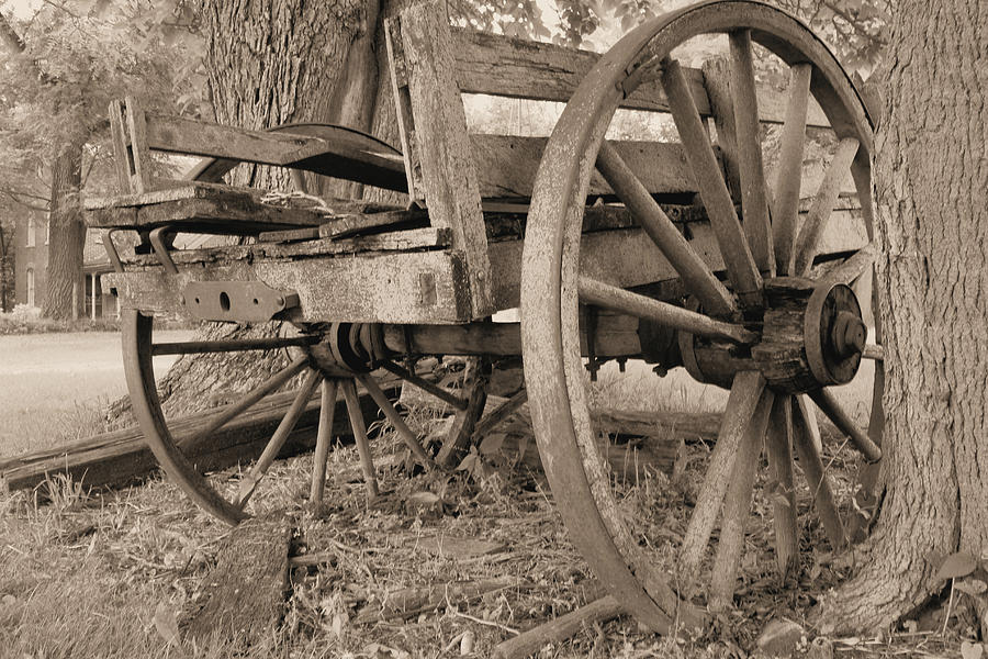 Relic Farm Wagon Photograph by Scott Kingery