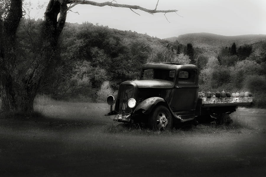 Relic Truck Photograph by Bill Wakeley