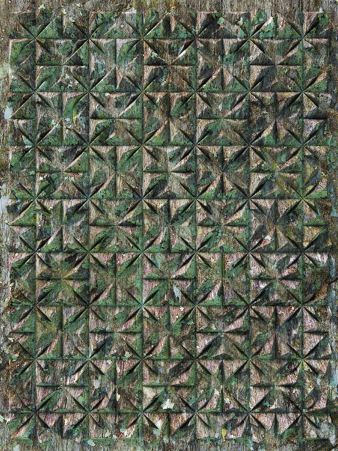 Relief G3 Mossy Wood Digital Art by Frans Blok
