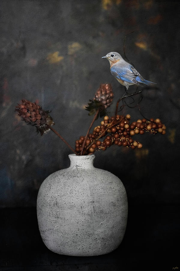 Bird Photograph - Relish The Small Pleasures by Jai Johnson