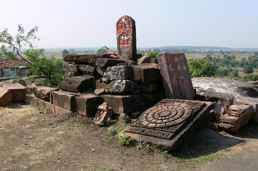 Remains at Bhojpur Photograph by Padamvir Singh