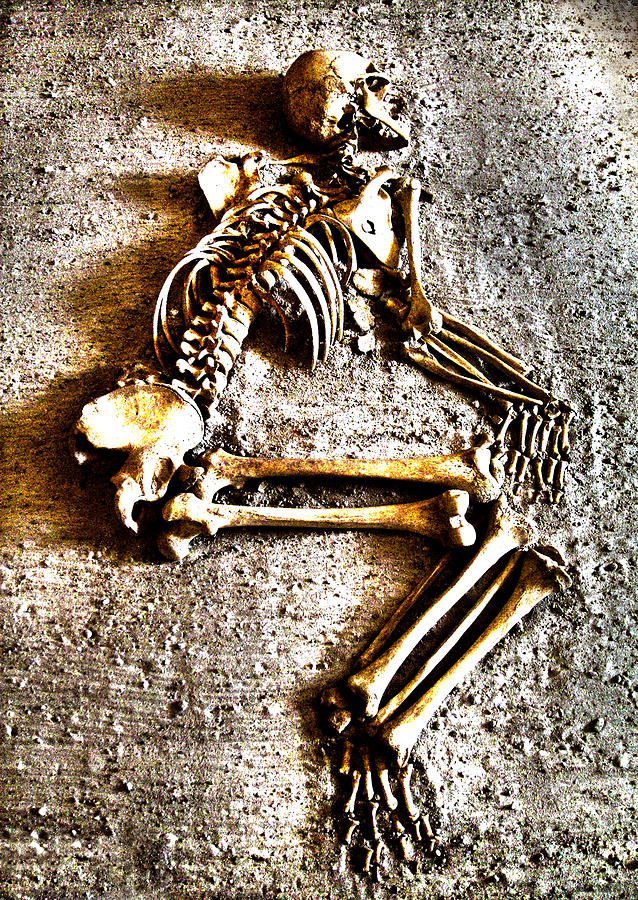 Skeleton Photograph - Remains ... by Juergen Weiss