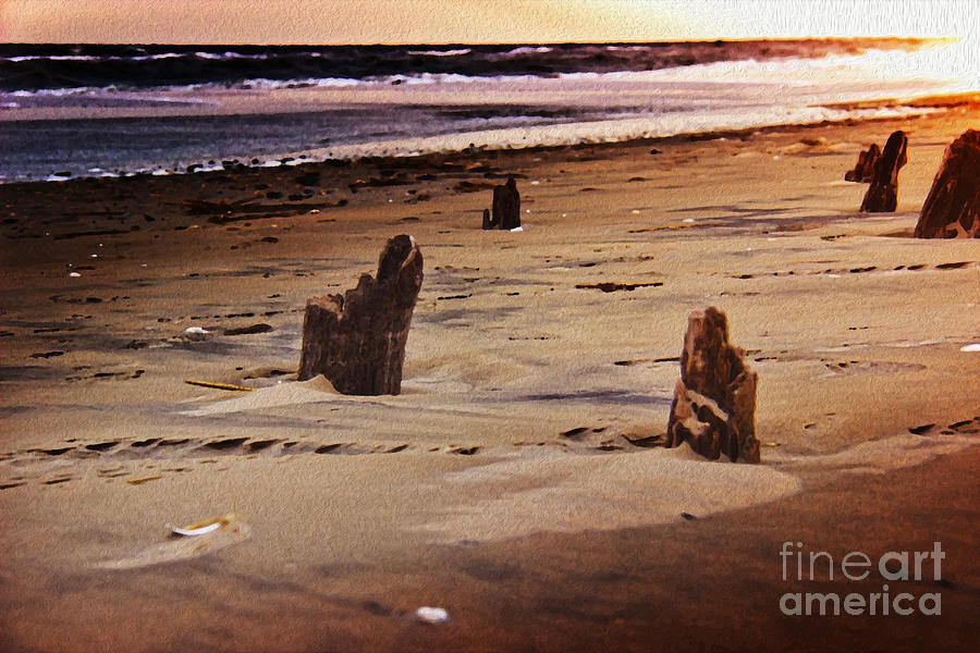Nature Photograph - Remains of a Pier by Tom Gari Gallery-Three-Photography