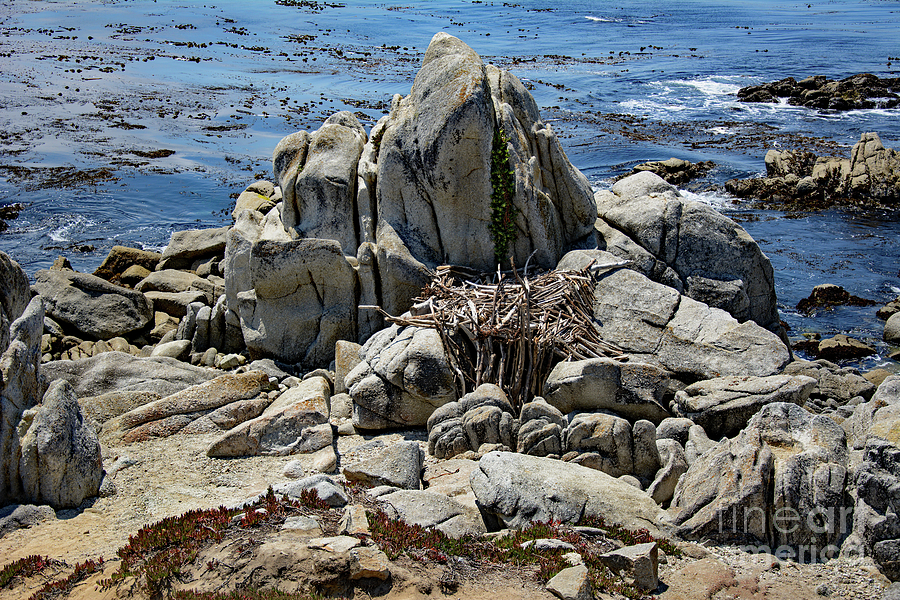 Nature Photograph - Remains of Ancient Rocks at Carmel Point by Susan Wiedmann