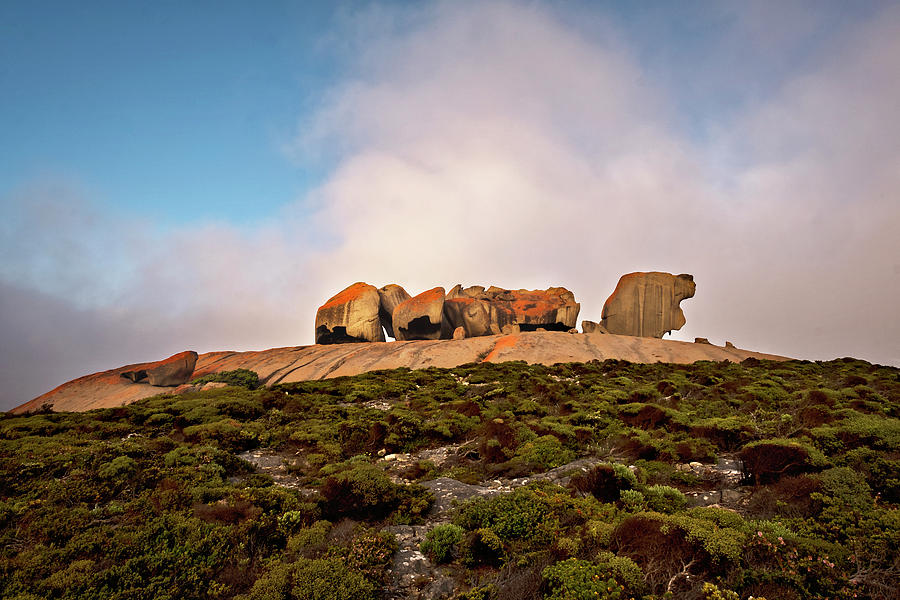 Remarkable Rocks 1 Photograph by Catherine Reading
