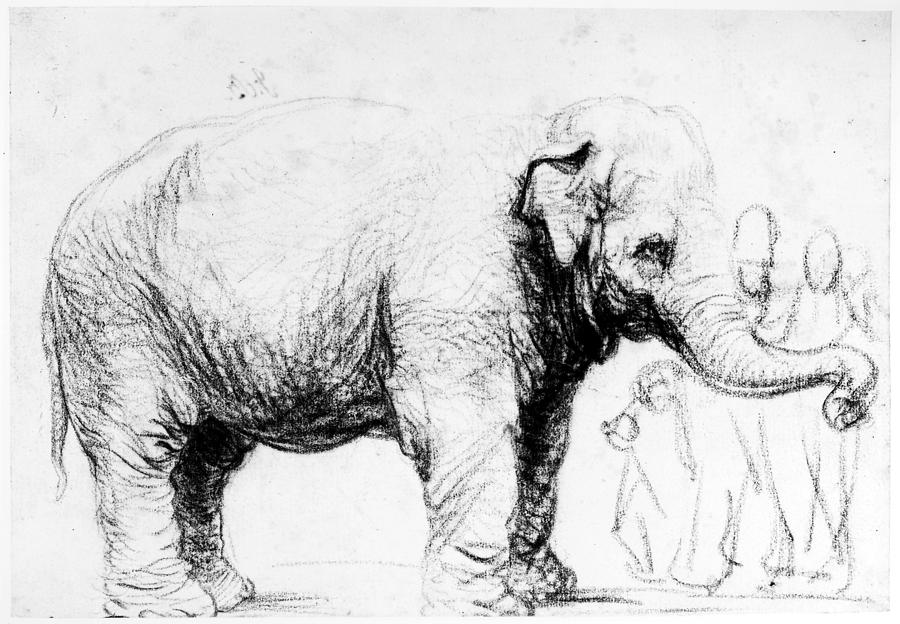 Rembrandt: Elephant, 1637 Photograph by Granger Rembrandt: Elephant, 1637 Photograph by Granger
