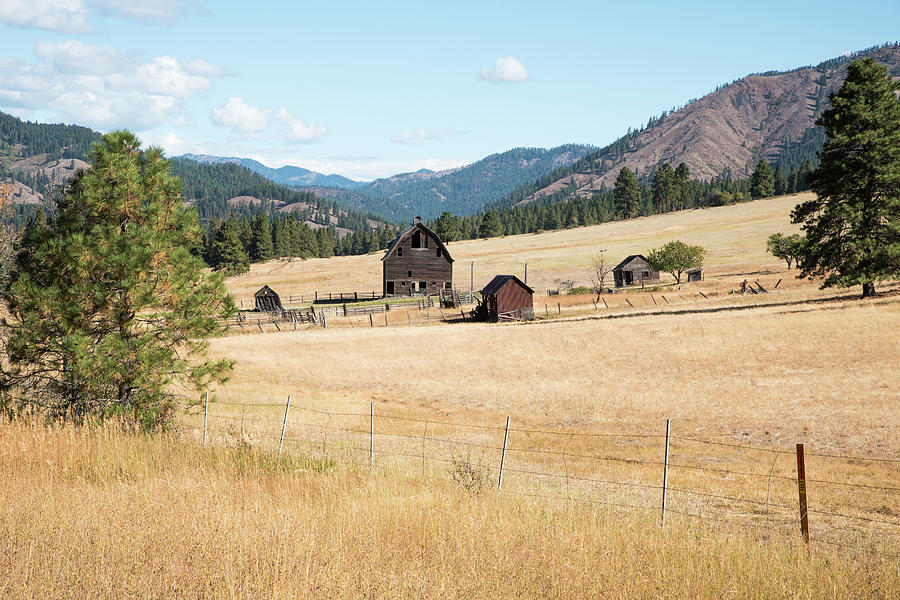 Remembered Promises on a Cascades Ranch Photograph by Tom Cochran