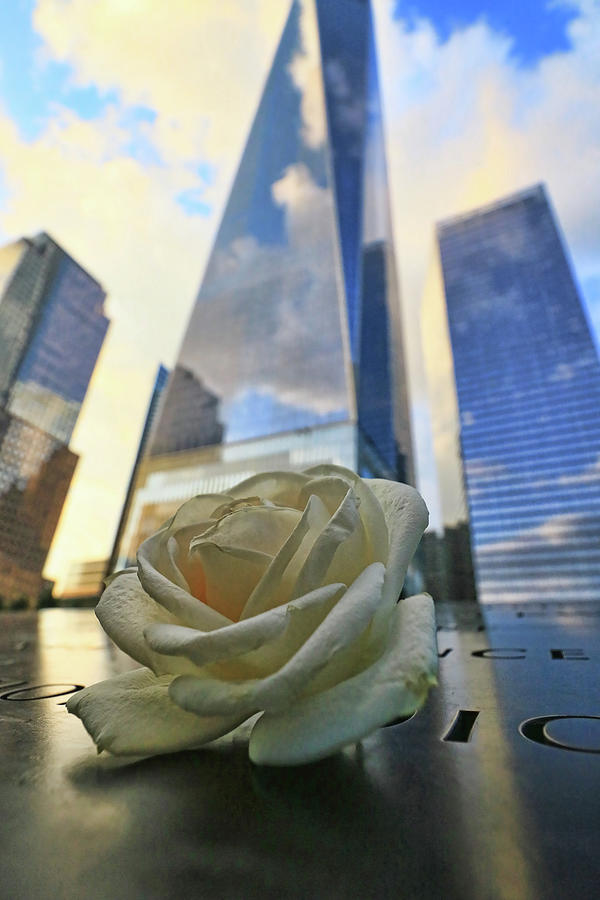 Remembering With A Rose Photograph by Allen Beatty