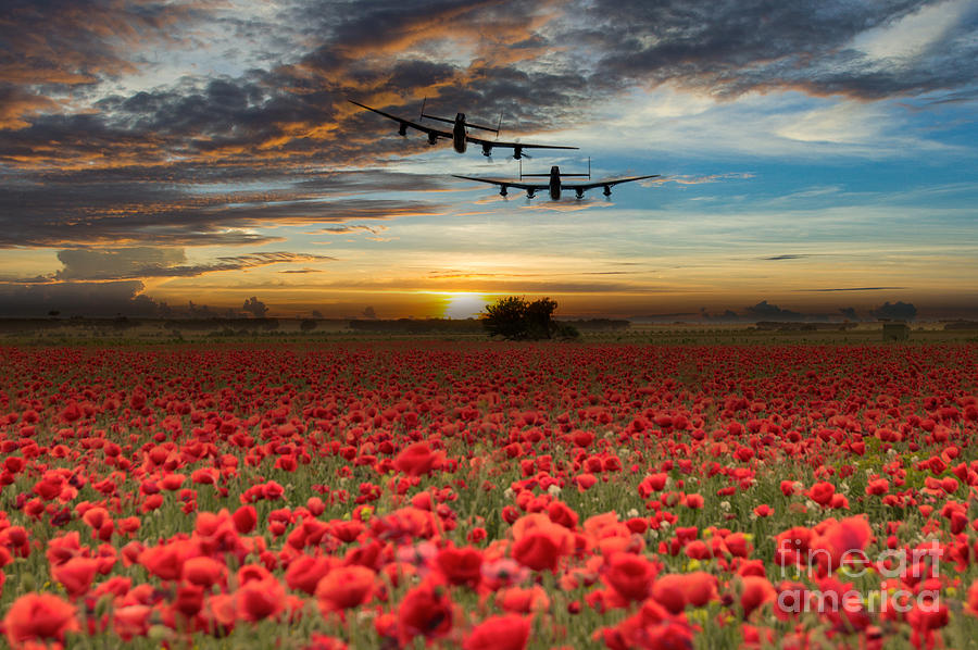 Remembrance Flight Digital Art By Airpower Art - Fine Art America