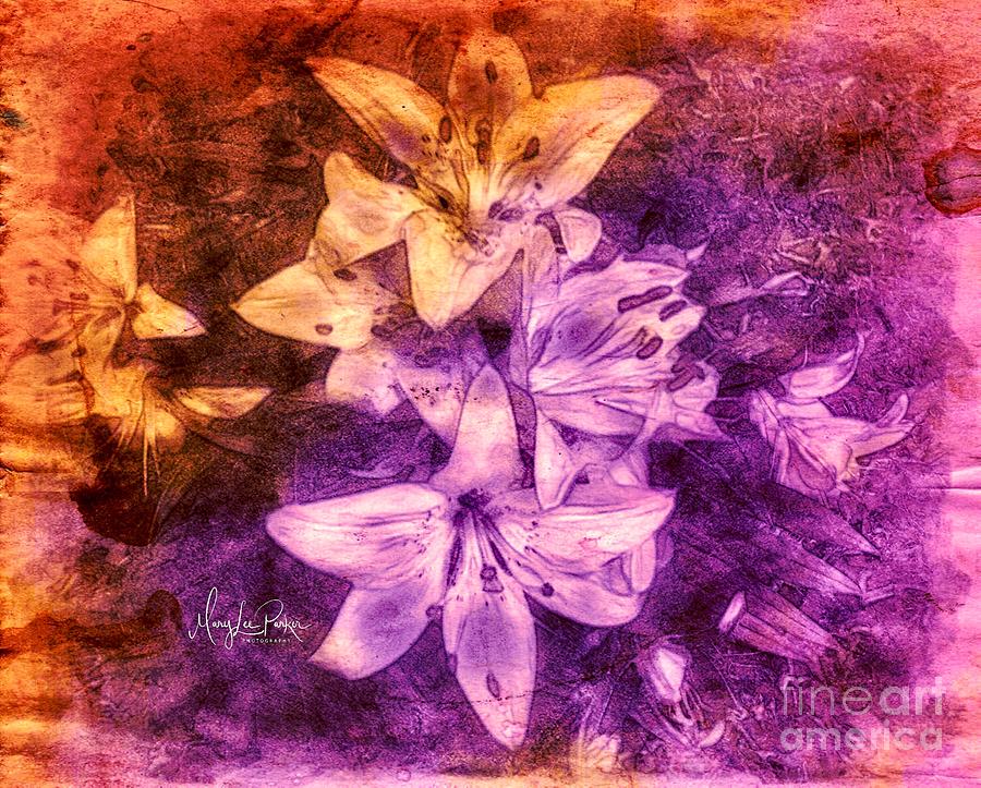 Remembrance Digital Art by MaryLee Parker