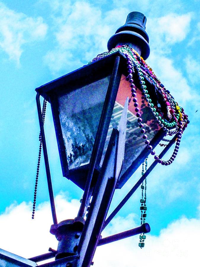 Remnants of Mardi Gras Photograph by Frances Ann Hattier