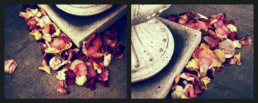 Remnants of Roses Diptych Photograph by Jessica Jenney