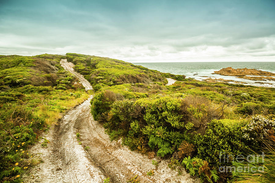 Summer Photograph - Remote Australia beach trail by Jorgo Photography