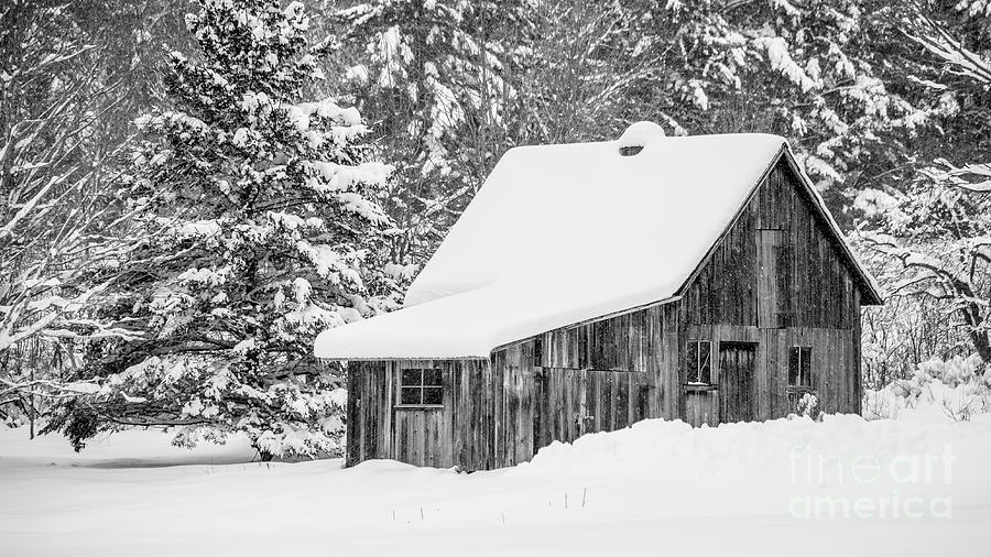 Remote Cabin in the Woods Etna New Hampshire Photograph by Edward Fielding