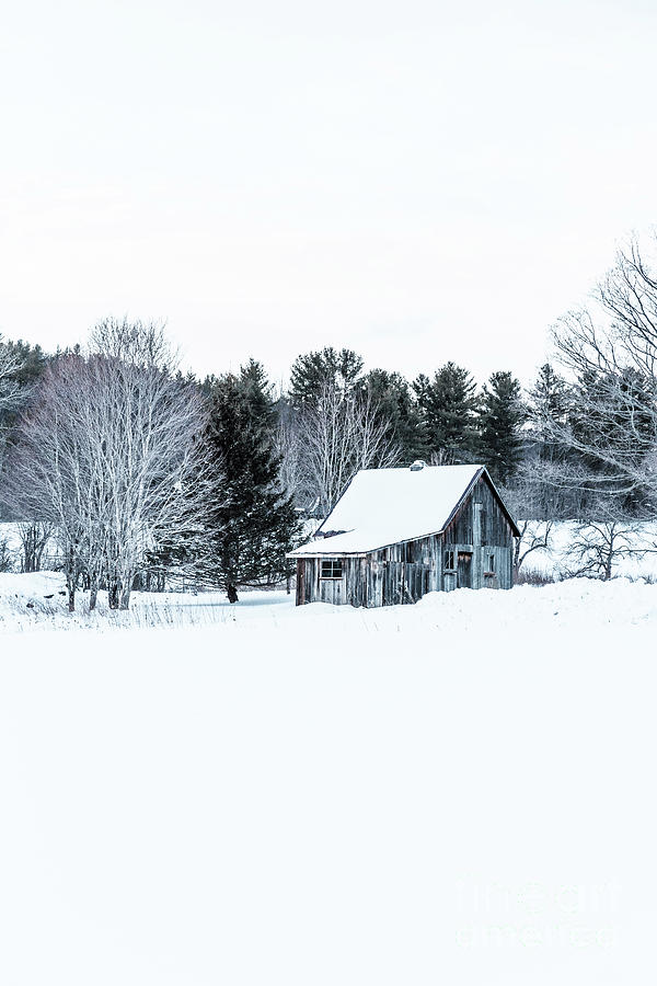 Winter Photograph - Remote Cabin in Winter by Edward Fielding