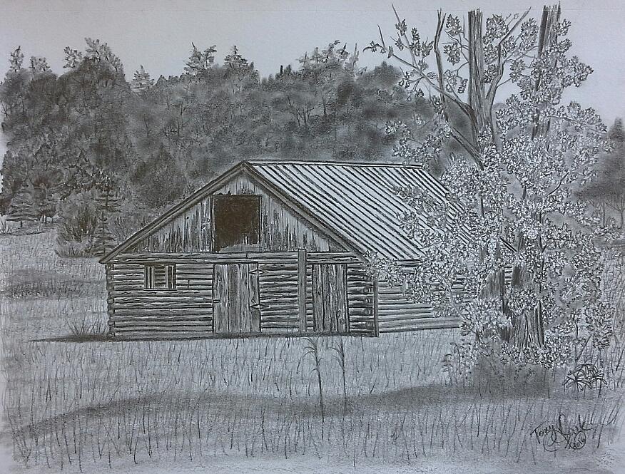 Remote Cabin Drawing by Tony Clark