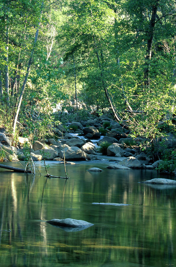 Remote Locale - South Fork Sisquoc River Photograph by Soli Deo Gloria ...