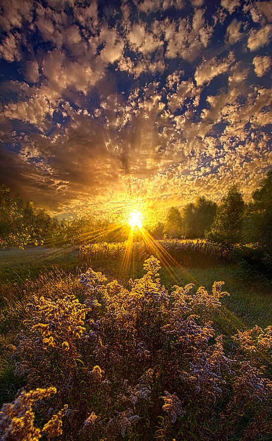 Remove Every Doubt Photograph by Phil Koch