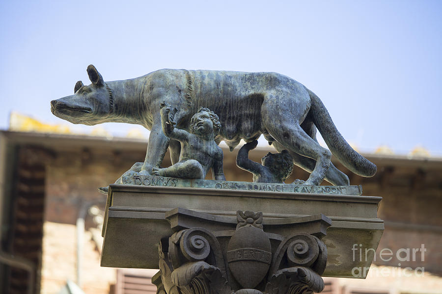 Column Of The She-Wolf And Aschius And Senius In Siena Photograph by Patricia Hofmeester