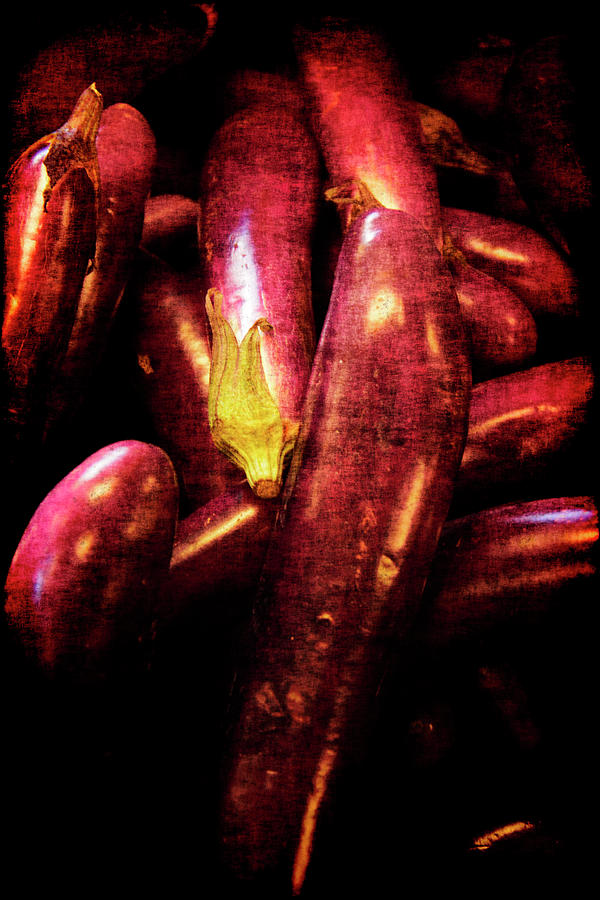 Renaissance Chinese Eggplant Photograph by Jennifer Wright