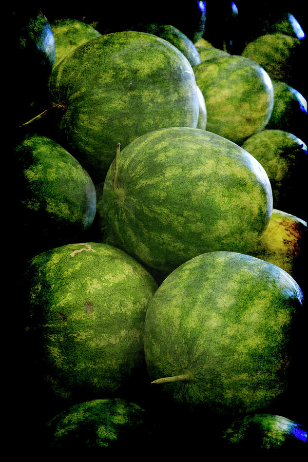 Renaissance Green Watermelon Photograph by Jennifer Wright