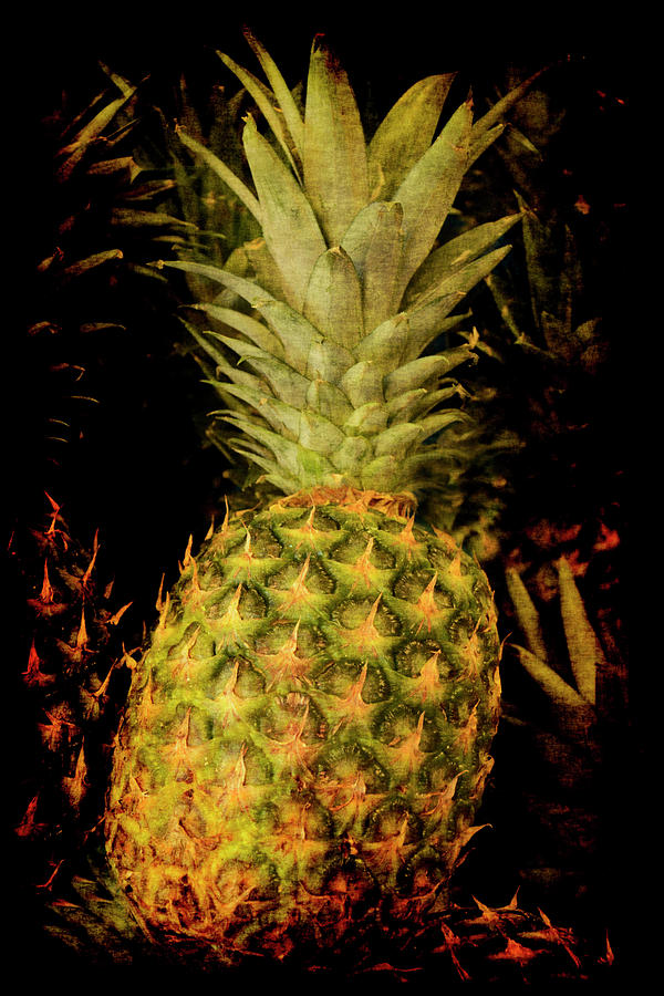 Renaissance Pineapple Photograph by Jennifer Wright