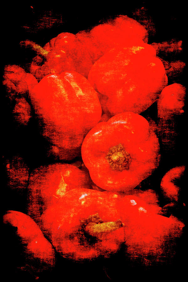 Renaissance Red Peppers Photograph by Jennifer Wright