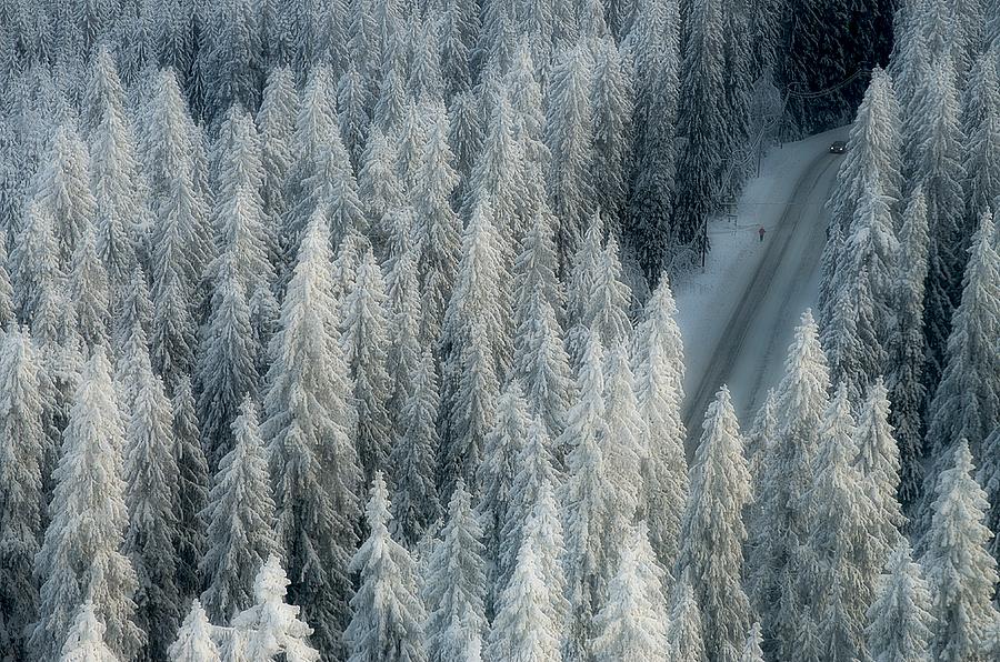 Winter Photograph - Rendezvous by Teemu Kalliolahti