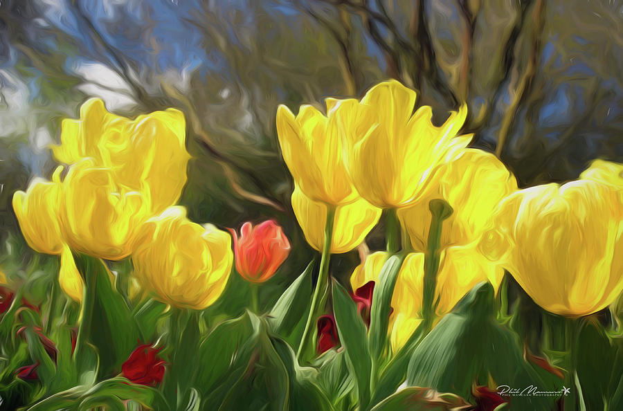 Renewal First Day Of Spring by Phil Mancuso Renewal First Day Of Spring by Phil Mancuso