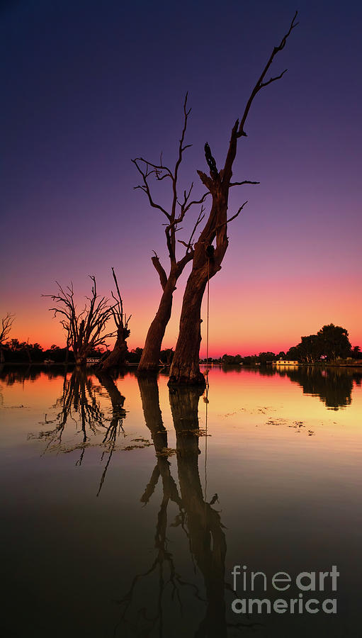 Renmark South Australia sunset Photograph by Bill Robinson