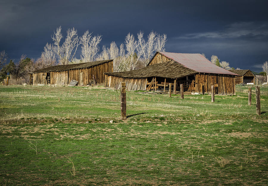 Reno Barn Photograph by Rick Mosher