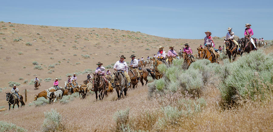 Reno Cattle Drive 17 Photograph by Rick Mosher