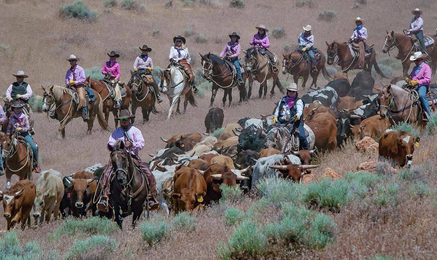 Reno Cattle Drive 18 Photograph by Rick Mosher
