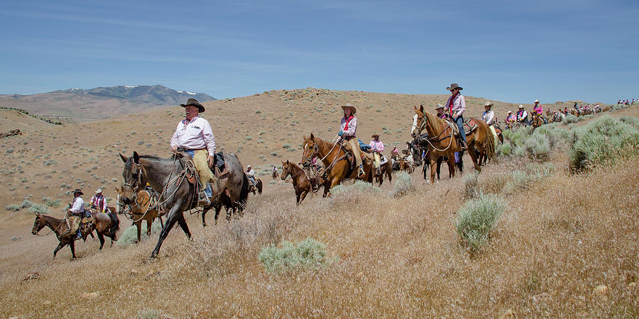 Reno Cattle Drive 2 Photograph by Rick Mosher