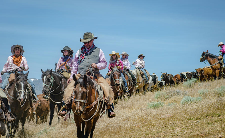 Reno Cattle Drive 4 Photograph by Rick Mosher