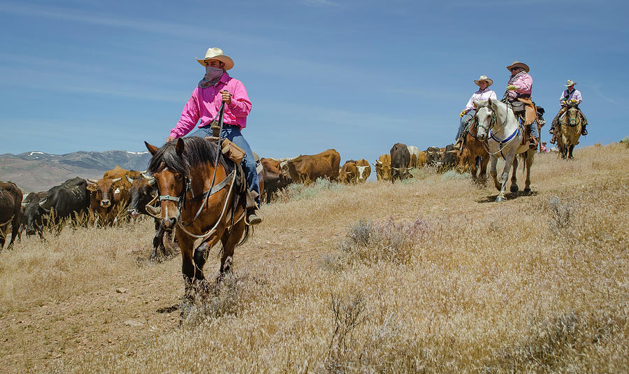 Reno Cattle Drive 5 Photograph by Rick Mosher