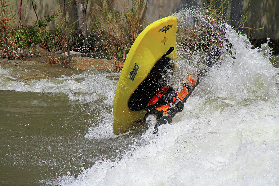 Reno River Festival Photograph by Donna Kennedy