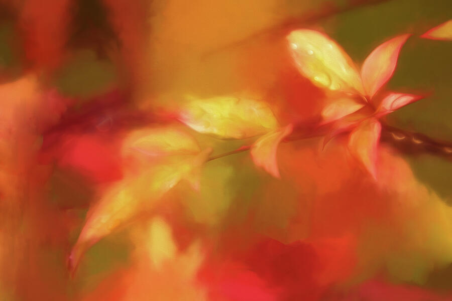 Renoirs Autumn Digital Art by Terry Davis