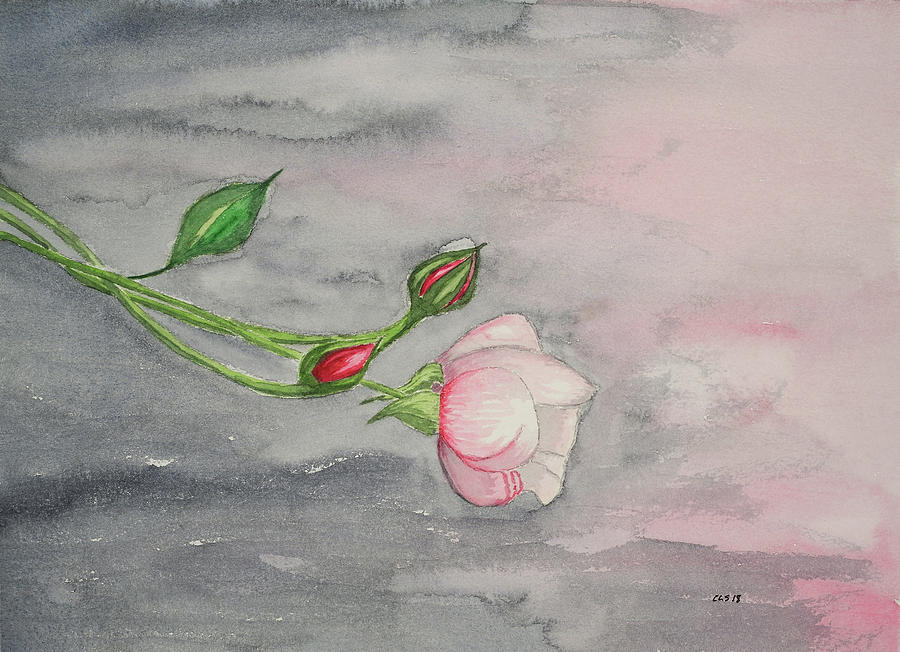 Renoirs Rose - Dawn Blush Painting by Cynthia Schoeppel