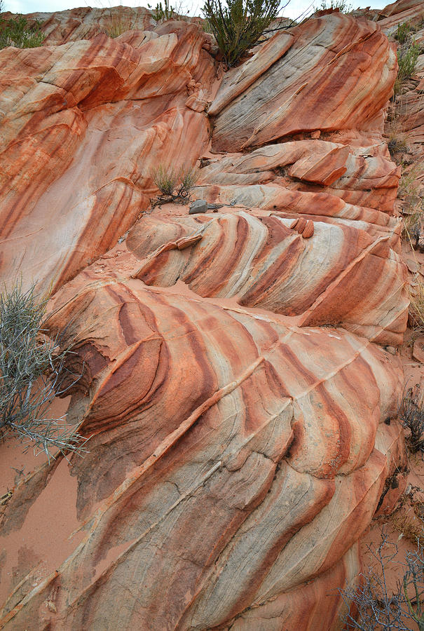 Repeating Pattern of Color in Valley of Fire Photograph by Ray Mathis