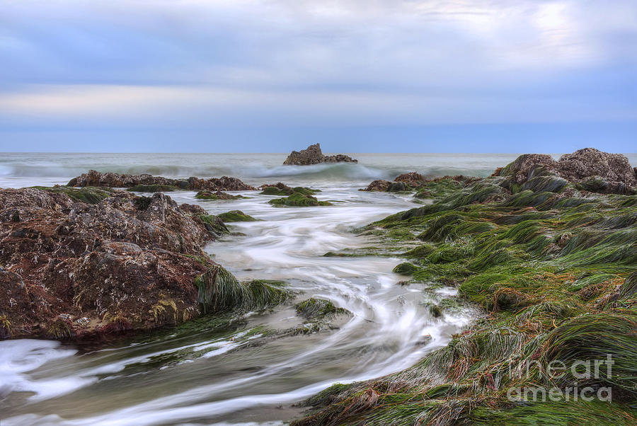 Nature Photograph - Replenish The Tide Pools by Eddie Yerkish