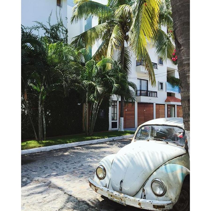 Car Photograph - Puerto Vallarta Bug by Jessica Smith