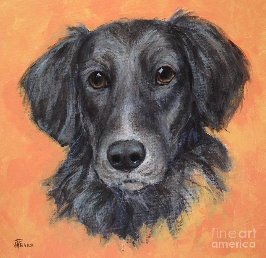 Rescue Dog Painting by Vickie Fears | Fine Art America