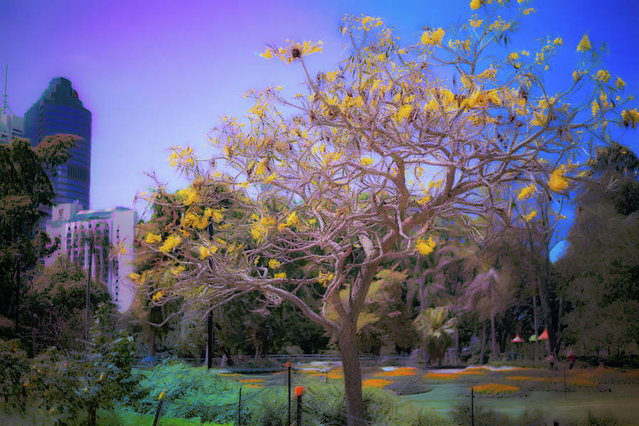 Tree Digital Art - Respite by Chris Hood Tree Digital Art - Respite by Chris Hood