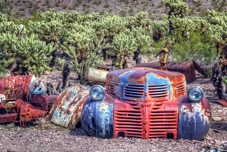 Rest In Cactus Photograph by Joan Escala-Usarralde
